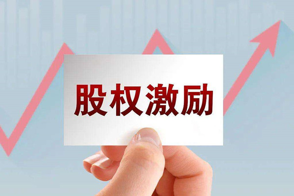 非上市公司為什么要實施股權(quán)激勵？