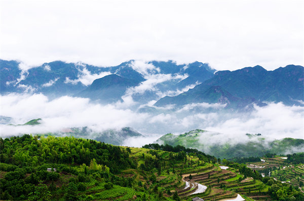 管理咨詢?nèi)绾沃刂萜髽I(yè)戰(zhàn)略規(guī)劃落地？