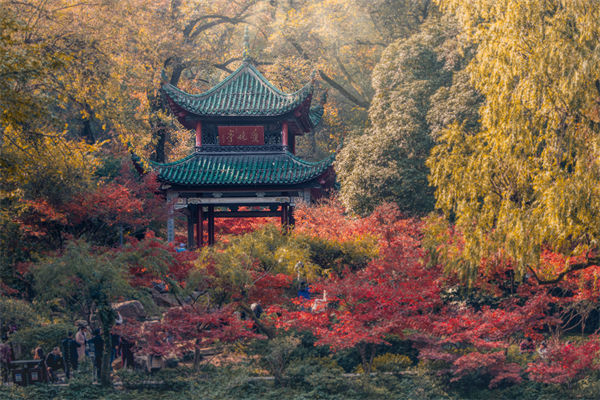長(zhǎng)沙薪酬咨詢公司如何設(shè)計(jì)合理的薪酬結(jié)構(gòu)與體系？