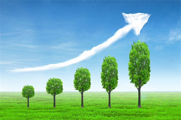 植樹就是植未來，對企業(yè)的戰(zhàn)略規(guī)劃有哪些啟示？