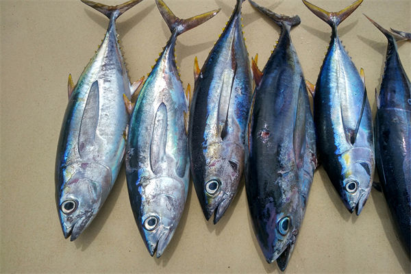 商務(wù)部：將幫助外貿(mào)企業(yè)擴(kuò)寬內(nèi)銷(xiāo)渠道，政策解讀！