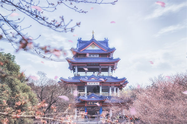 供應(yīng)鏈成本居高不下，無(wú)錫供應(yīng)鏈咨詢公司如何精準(zhǔn)砍出利潤(rùn)空間？