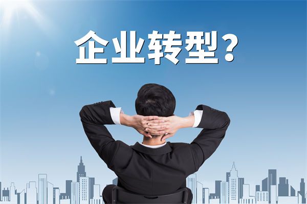 企業(yè)轉(zhuǎn)型無方向，數(shù)智化咨詢公司能否指引明路？