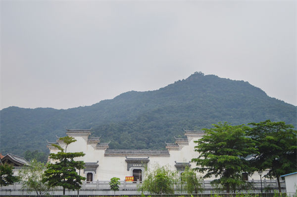 子公司各自為戰(zhàn)內(nèi)耗大，佛山集團管控咨詢公司有何整合之道？
