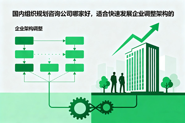國內組織規(guī)劃咨詢公司哪家好，適合快速發(fā)展企業(yè)調整架構的